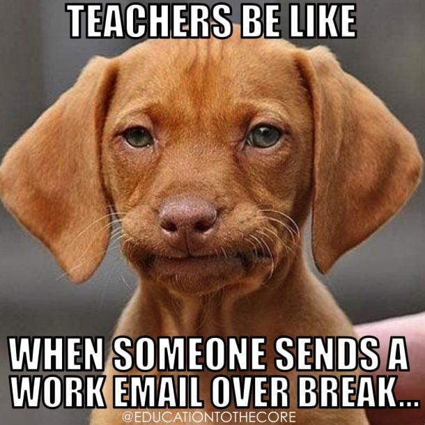 an image of an annoyed dog with a caption saying: "Teachers be like, when sends a work email over break.."